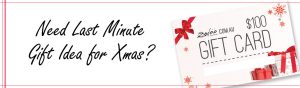 Zodee Gift Certificates - Last Minute Gift Idea for Xmas