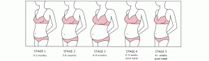 New Maternity Buying Guide - Sneak Peek